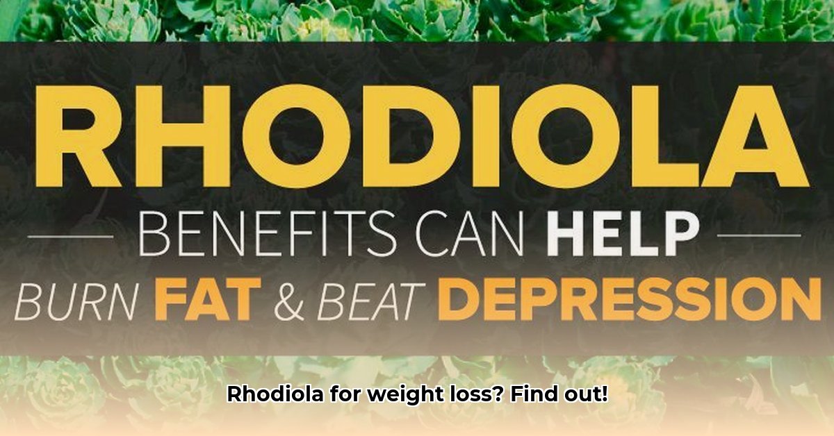 does-rhodiola-help-with-weight-loss